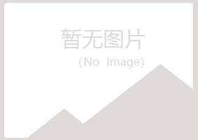 河池念寒机械有限公司